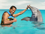 Gallery Dolphin Swim