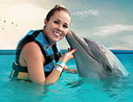 Gallery Dolphin Encounter