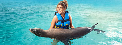 Cancun-Royal Swim VIP Plus