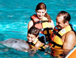 Gallery Dolphin Encounter 