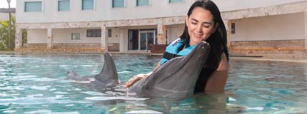 Cancun-Dolphin Swim Adventure