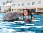 Gallery Dolphin Swim Adventure