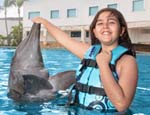 Gallery Dolphin Swim Adventure