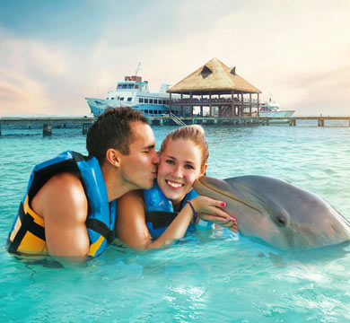 Gallery Dolphin Royal Swim VIP