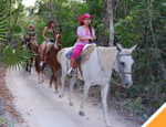 Gallery Horseback Riding - Cancun