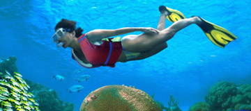 cozumel activities water sports tours and attractions