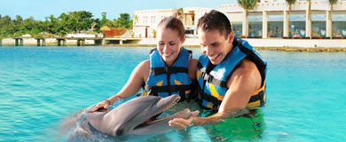 Cozumel-Dolphin Swim Adventure