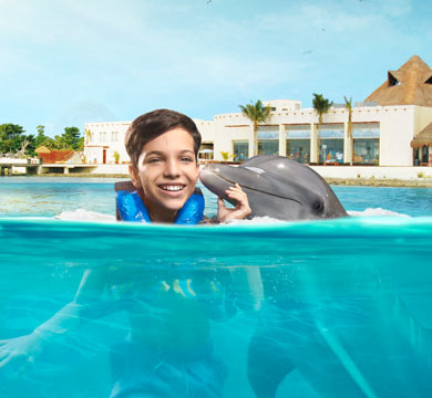 Gallery Dolphin Swim Adventure