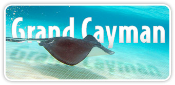 deals promotions discounts Grand Cayman