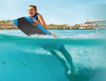 Gallery Dolphin Swim Adventure