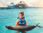 Gallery Royal Swim VIP Plus (Sea Life Discovery Plus)
