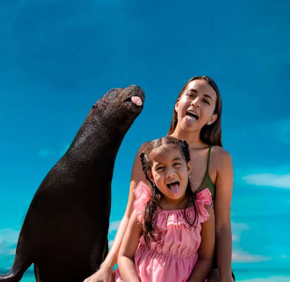 Gallery Royal Swim VIP Plus (Sea Life Discovery Plus)
