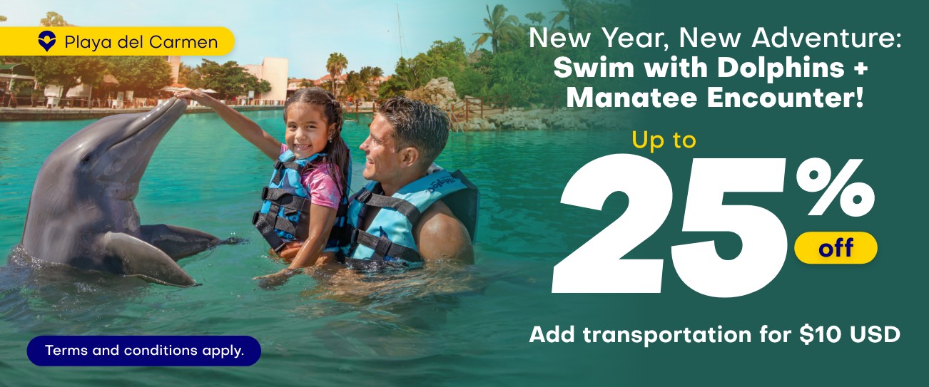 Swim with Dolphins Deals & Promotions in Riviera Maya | Dolphin