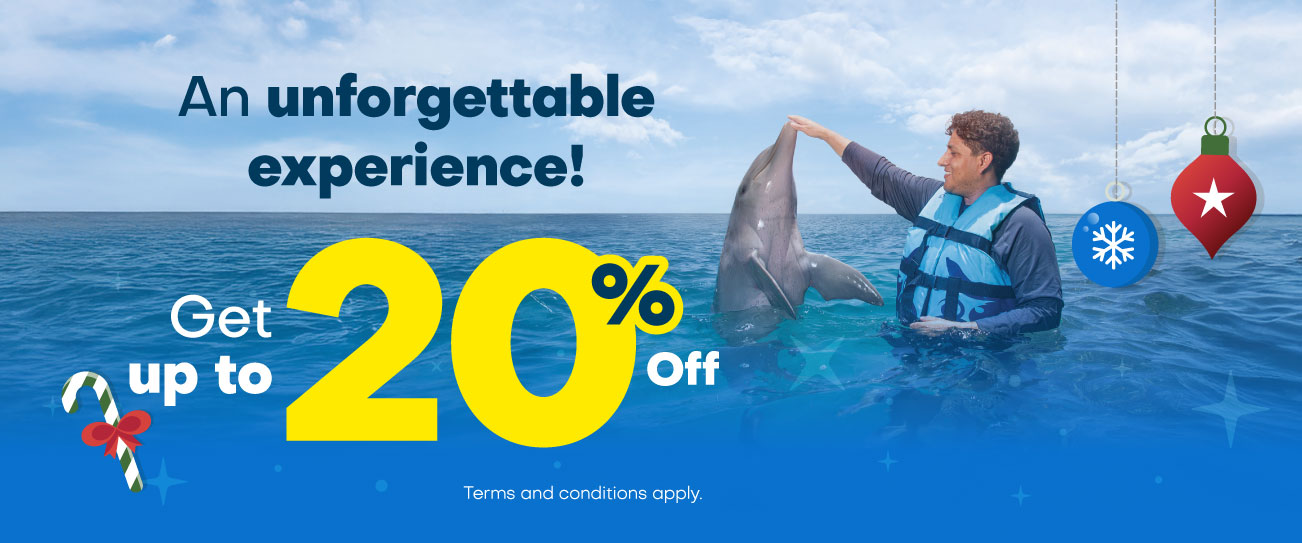 Discount on your swim with dolphin program at Cozumel