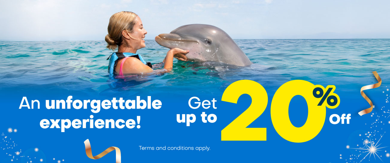 Dolphin Discovery Playa del Carmen Discounts