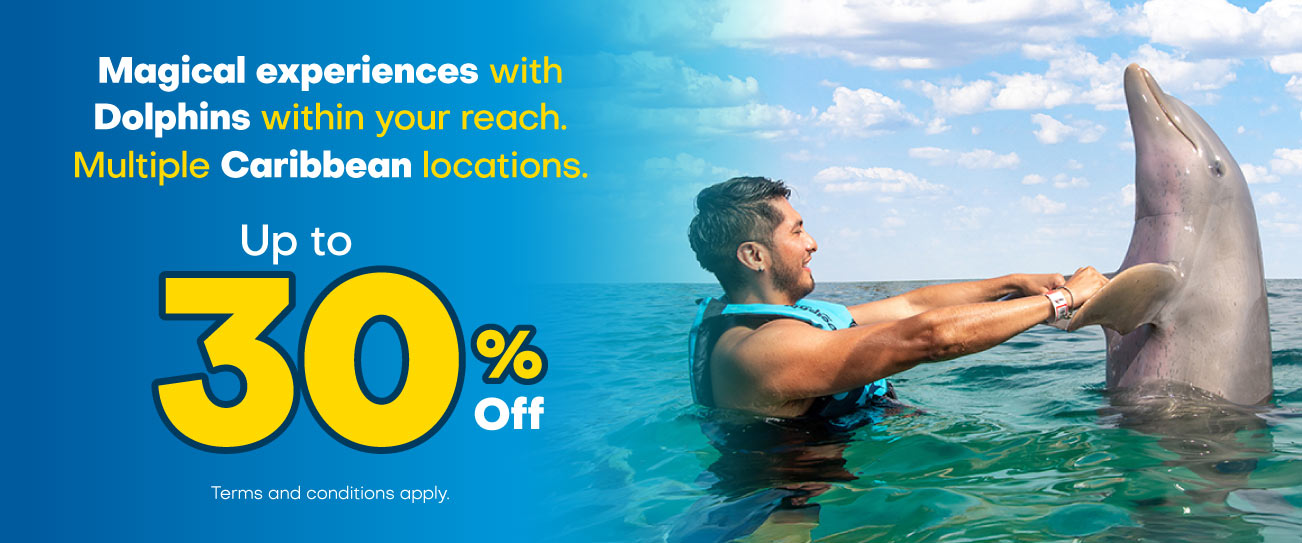 Get the best prices to Swim with Dolphins in Isla Mujeres