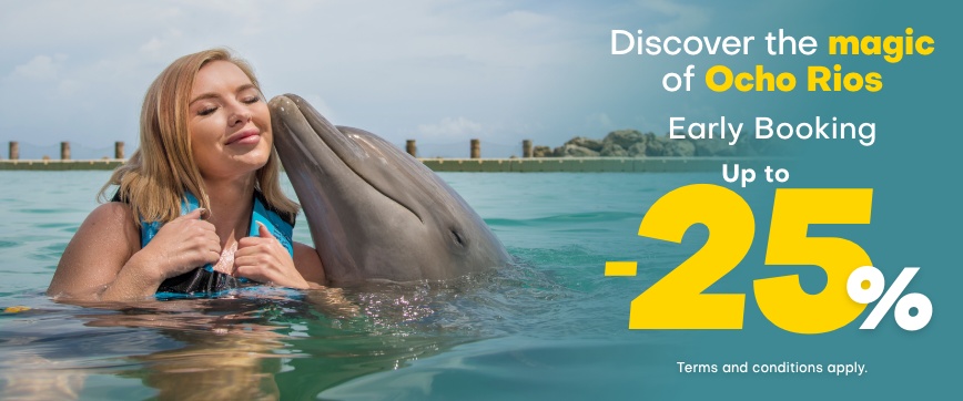 Dolphin Cove Deals