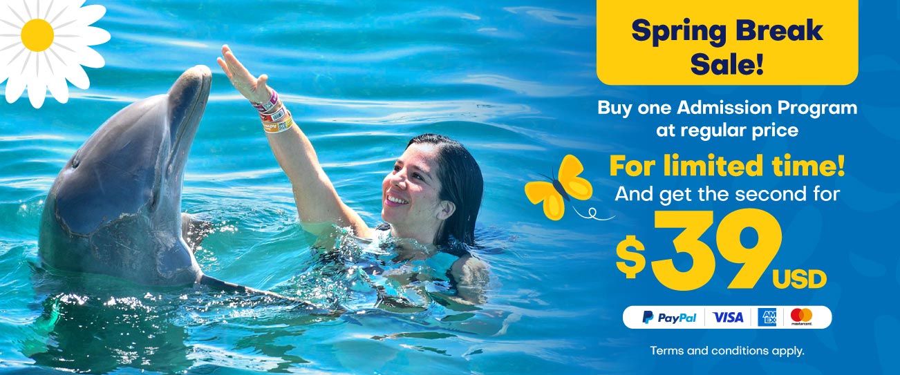 Dolphin Discovery Playa del Carmen Discounts
