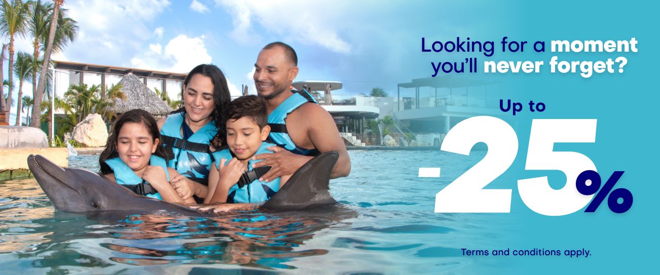 Get the best prices to Swim with Dolphins in Isla Mujeres