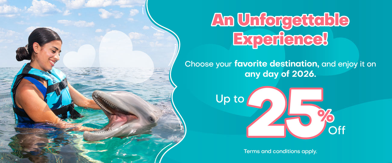 Discount on your swim with dolphin program at Cozumel