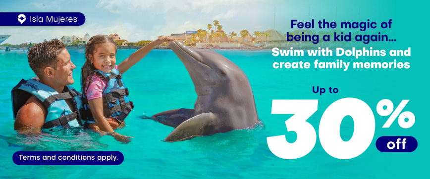 Get the best prices to Swim with Dolphins in Isla Mujeres