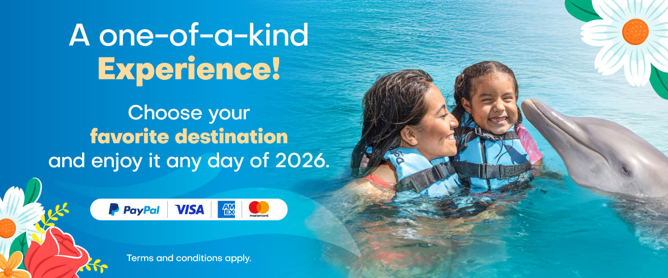 Dolphin Discovery Playa del Carmen Discounts