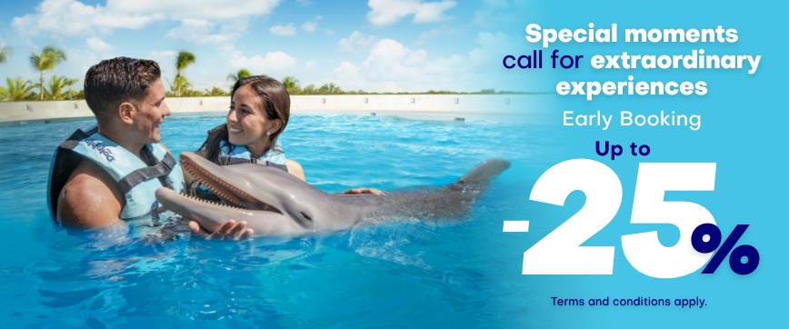 Get the best prices to Swim with Dolphins in Punta Cana