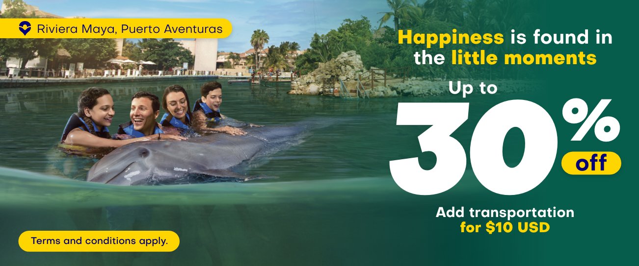 Get the best prices to Swim with Dolphins in Puerto Aventuras