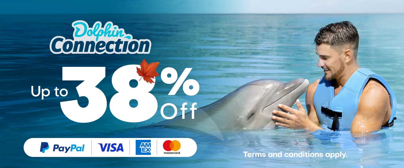 Dolphin Discovery Playa del Carmen Discounts