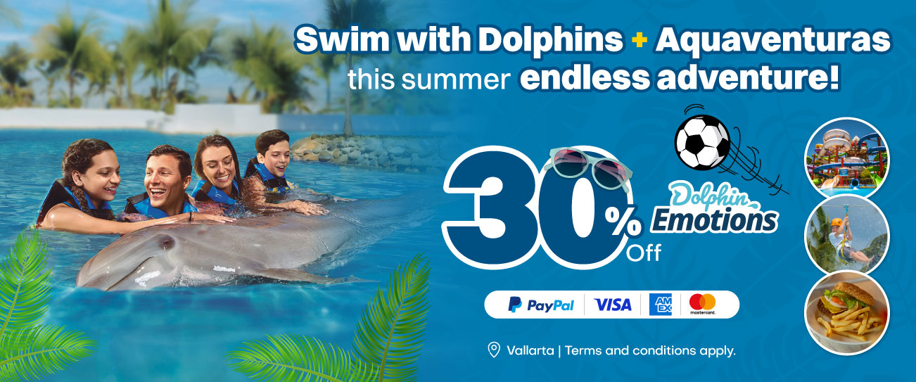 Get the best prices to Swim with Dolphins in Vallarta
