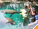 Gallery Sea Life Discovery Plus