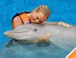 Gallery Dolphin Discovery Swim