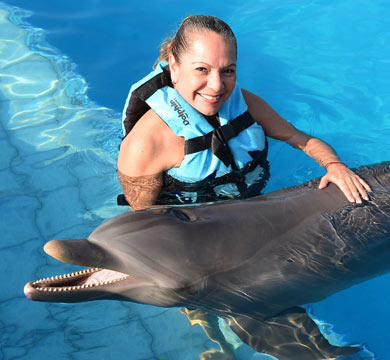 Gallery Dolphin Royal Swim