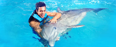 Tulum - Akumal-Dolphin Swim Adventure