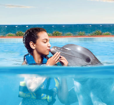 Gallery Dolphin Swim Adventure