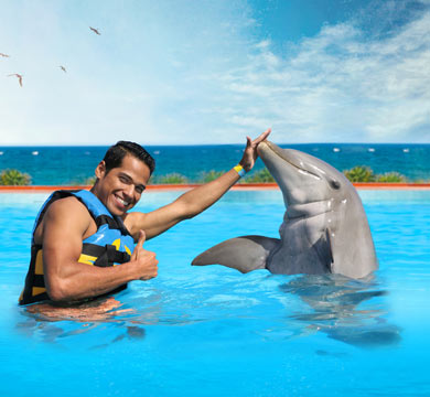 Gallery Dolphin Swim Adventure
