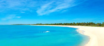 Tulum Activities - Tours and attractions