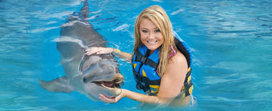 Puerto Vallarta-Dolphin Swim Adventure