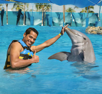 Gallery Dolphin Swim Adventure